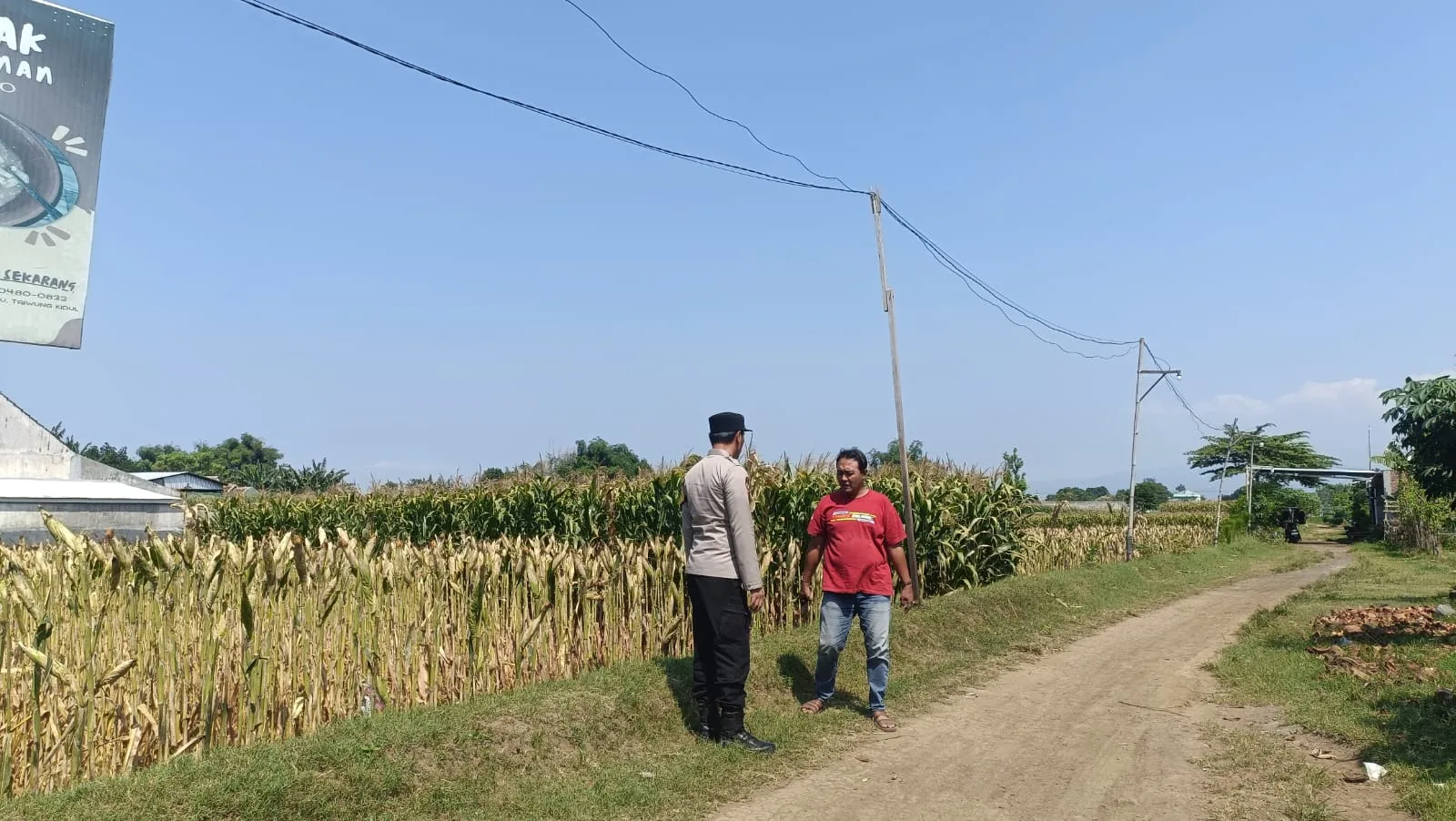 Polisi Sambangi Petani Jagung di Triwung Kidul, Perkuat Ketahanan Pangan Nasional
