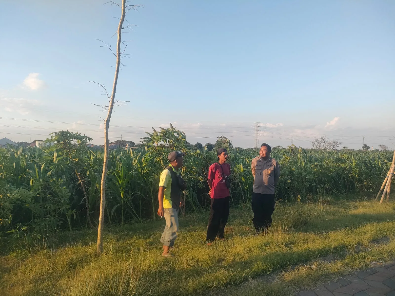 Patroli Polsubsektor Kanigaran Sambangi Petani Jagung, Perkuat Kamtibmas dan Dukung Ketahanan Pangan