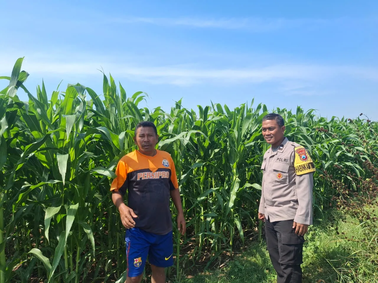 Bhabinkamtibmas Sumber Wetan Ajak Petani Dukung Program Ketahanan Pangan Nasional