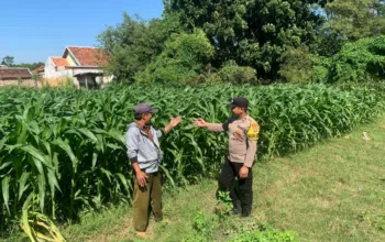 Polsek Kademangan Ajak Petani Dukung Program Ketahanan Pangan Nasional