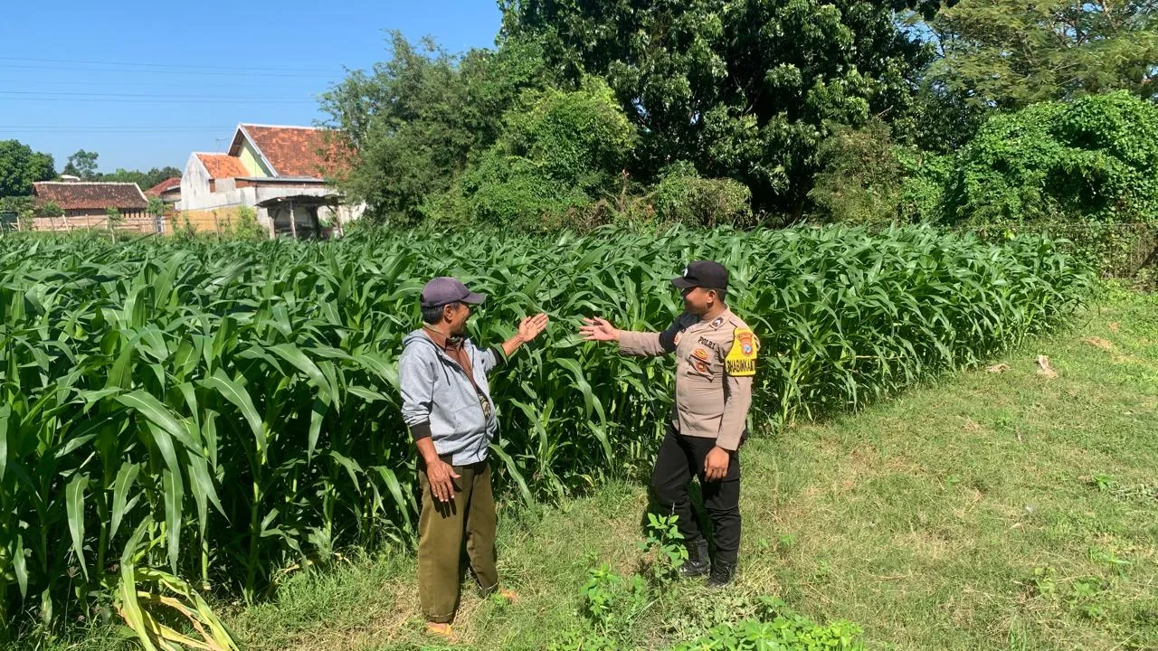 Polsek Kademangan Ajak Petani Dukung Program Ketahanan Pangan Nasional