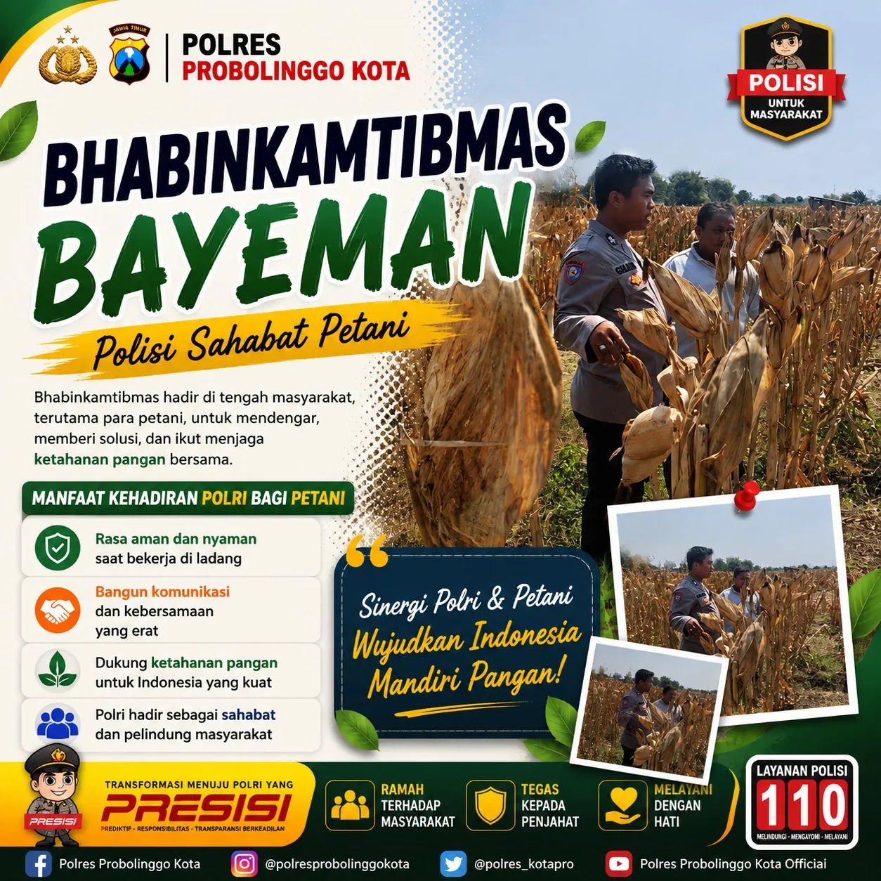 Jelang Panen, Polisi Tongas Pantau Lahan Jagung Binaan di Bayeman